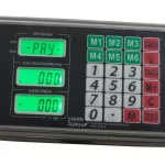 Platforminės svarstyklės Domotec (300 kg, 50x40)