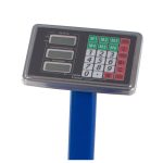 Platforminės svarstyklės Domotec (300 kg, 50x40)